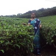 Shanthimurugan